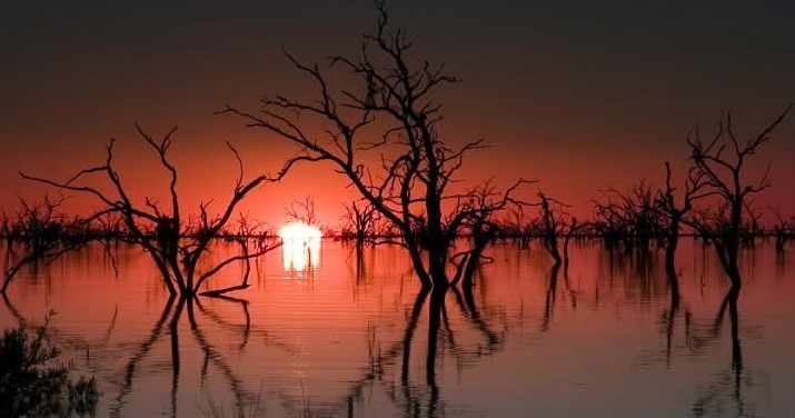 Menindee Lake at sunset